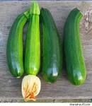 zucchini