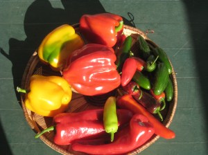 Peppers