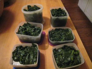 Greens ready to freeze