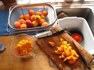 Peel, chop, measure. Yes, that is my new Cutco knife that we bought at the county fair this year.