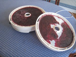 Concord Grape leather