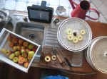 Apple drying