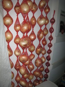 Onions - 2014