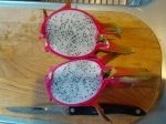 Dragon fruit_aka pittaya