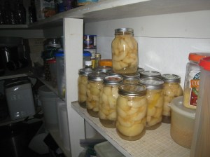 Canned Pears